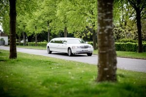 car insurance